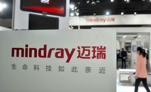 電子產品銷售龍頭獲青睞，下半年北上資金增持前15強出爐，兩股獲增持超百億